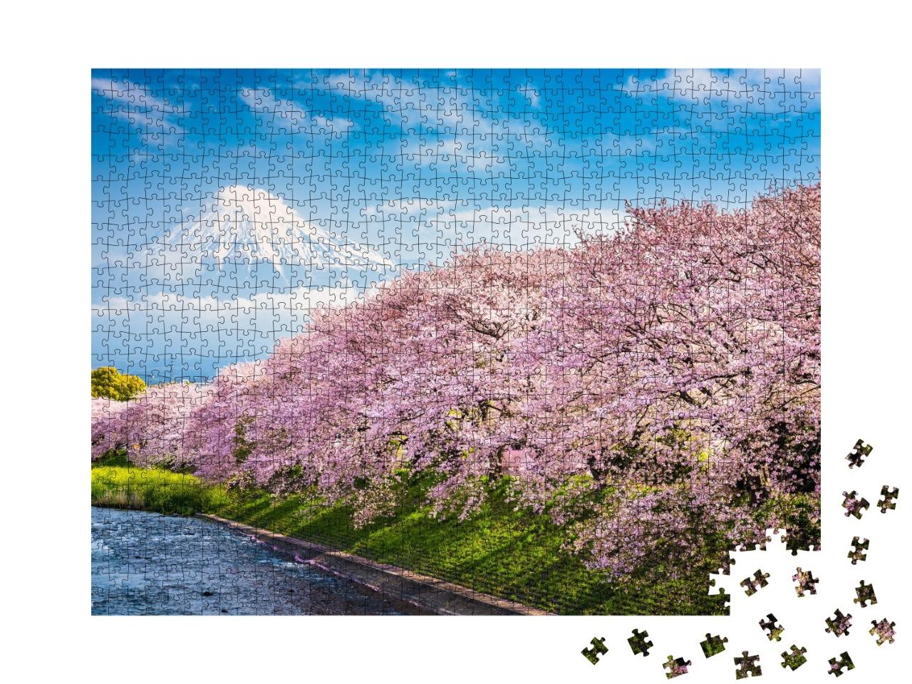 Puzzle de 1000 pièces « Mont Fuji, au premier plan Sakura, la fleur de cerisier japonaise »