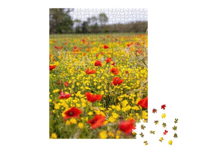 Puzzle de 1000 pièces « Prairie fleurie printanière avec coquelicots et fleurs jaunes »