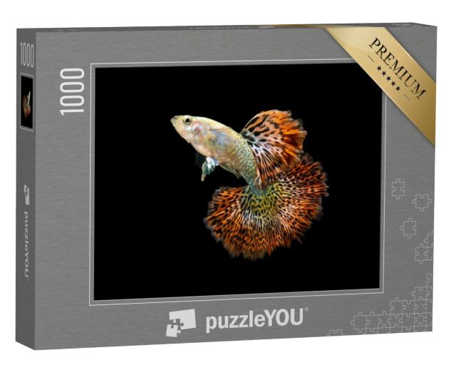 Puzzle de 1000 pièces « Le poisson guppy »