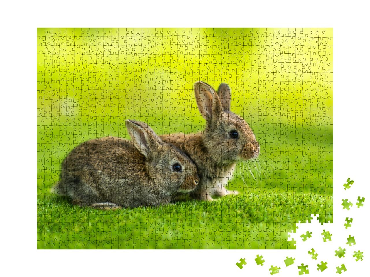 Puzzle de 1000 pièces « Deux petits lapins dans la prairie verte »