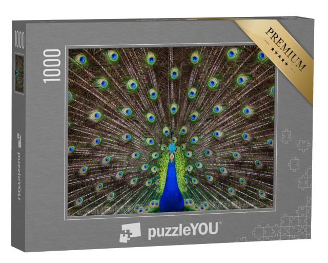 Puzzle de 1000 pièces « Portrait d'un paon aux plumes déployées »