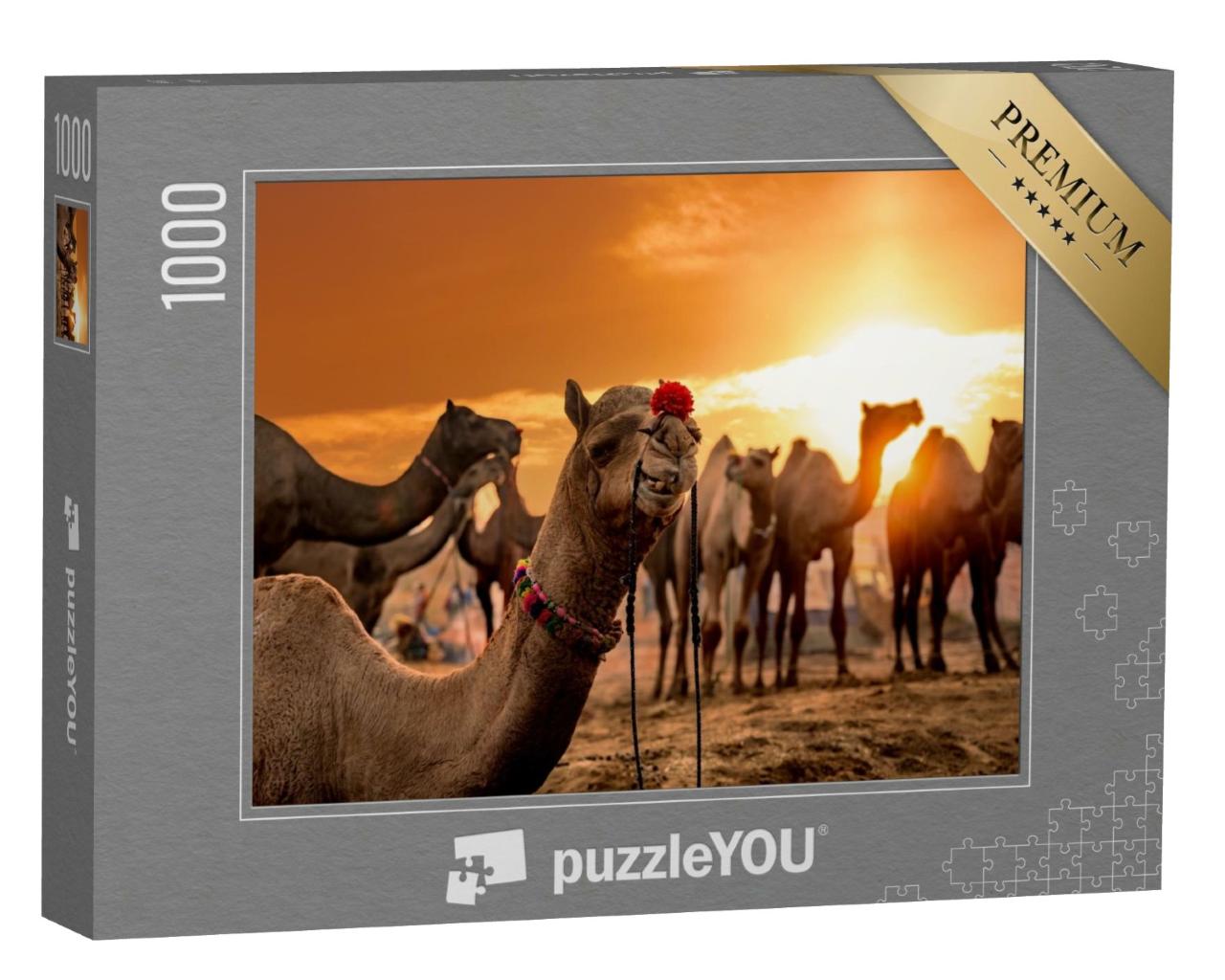 Puzzle de 1000 pièces « Foire aux chameaux de Pushkar dans la ville de Pushkar, Inde »