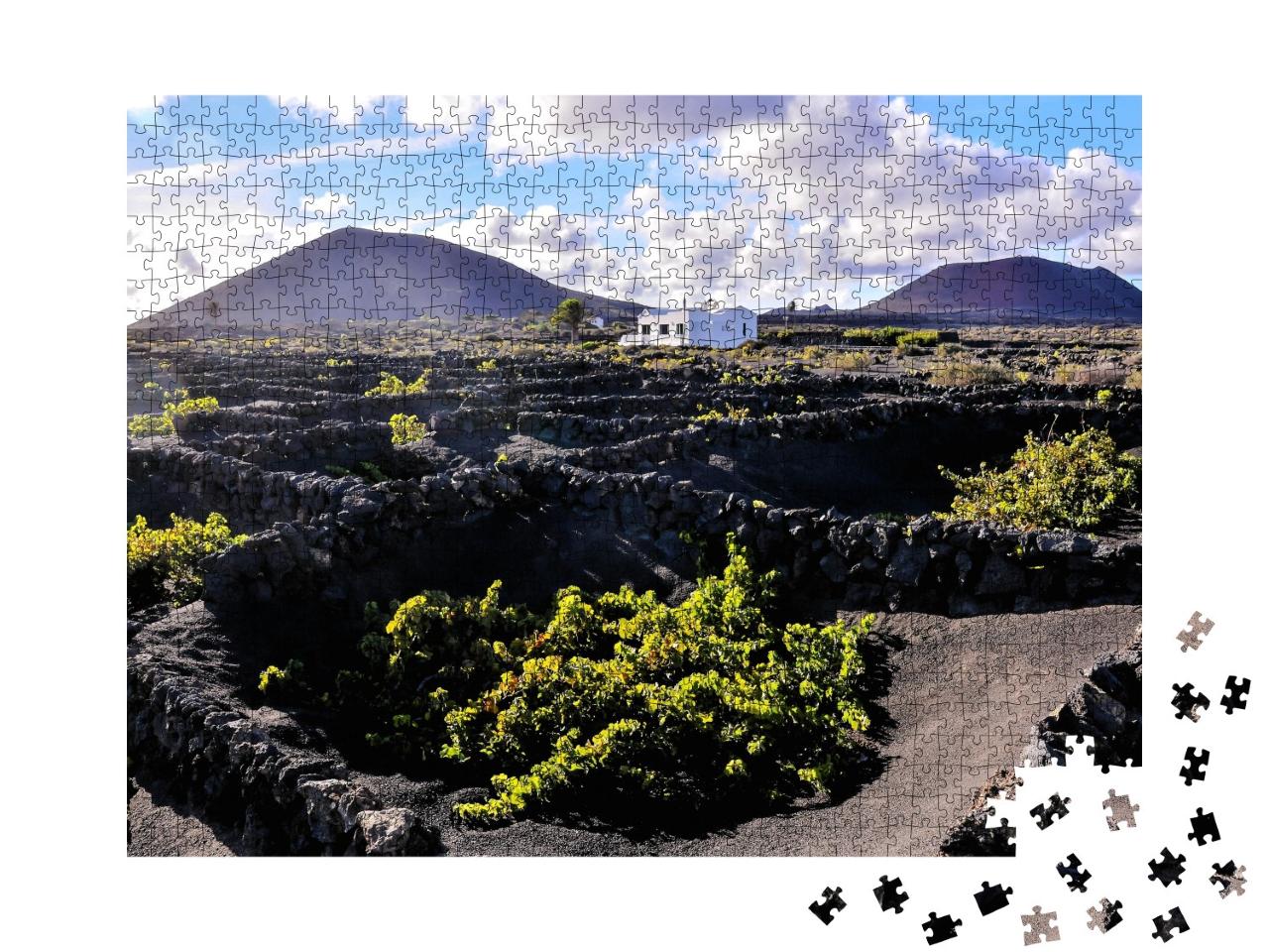 Puzzle de 1000 pièces « Vignobles de La Geria, Lanzarote, Îles Canaries, Espagne »