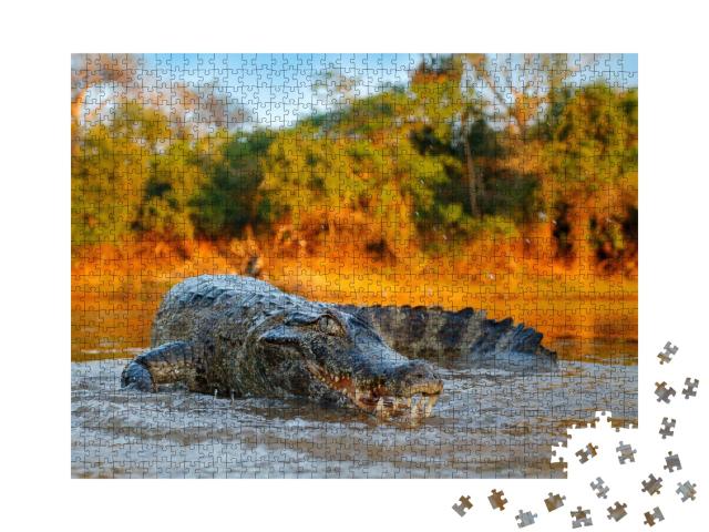 Puzzle de 1000 pièces « Crocodile au bord d'une rivière, Bolivie »