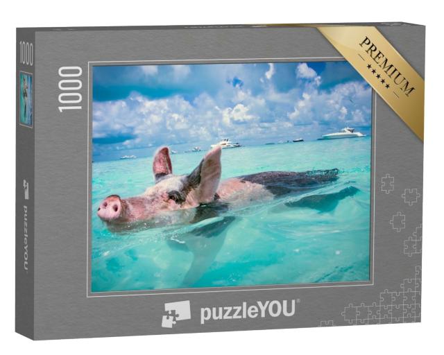 Puzzle de 1000 pièces « Les cochons flottants des Bahamas »