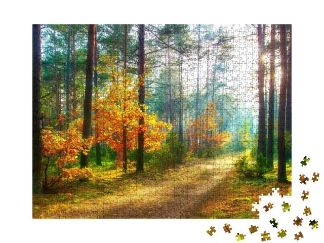 Puzzle de 1000 pièces « Paysage forestier en automne »