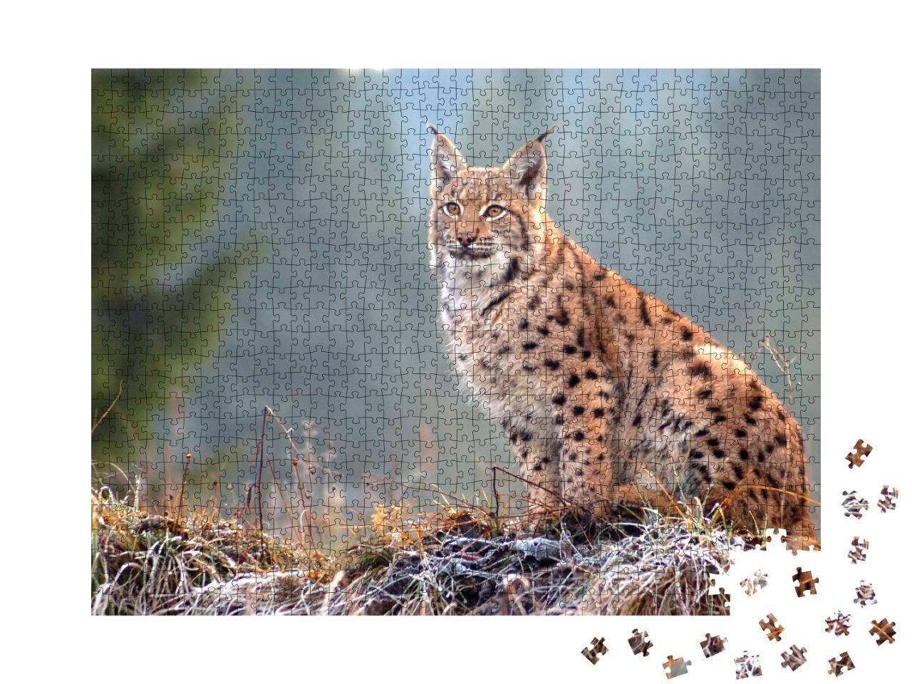 Puzzle de 1000 pièces « Lynx d'Eurasie dans les Carpates slovaques »