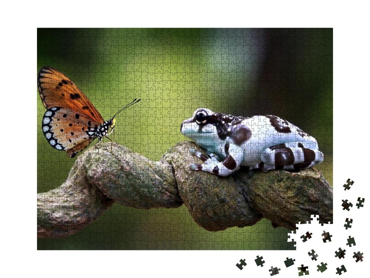 Puzzle de 1000 pièces « Grenouille de lait d'Amazonie, face à face avec un papillon »