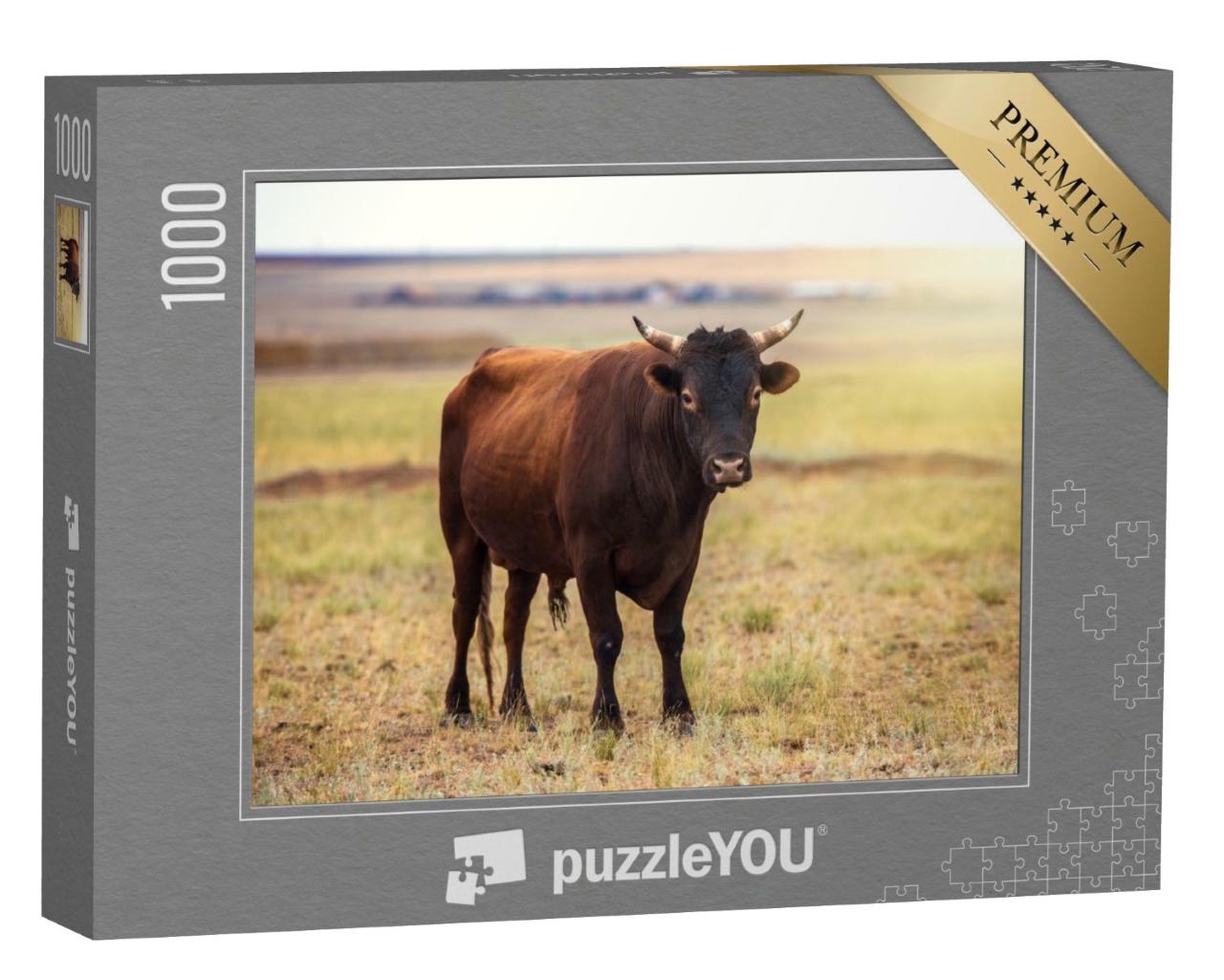 Puzzle de 1000 pièces « Portrait d'un taureau brun dans un champ »