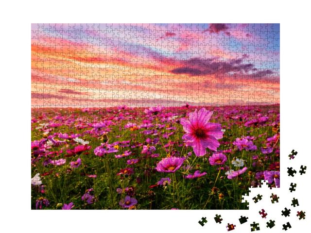Puzzle de 1000 pièces « Les cosmos fleurissent avant le coucher du soleil »