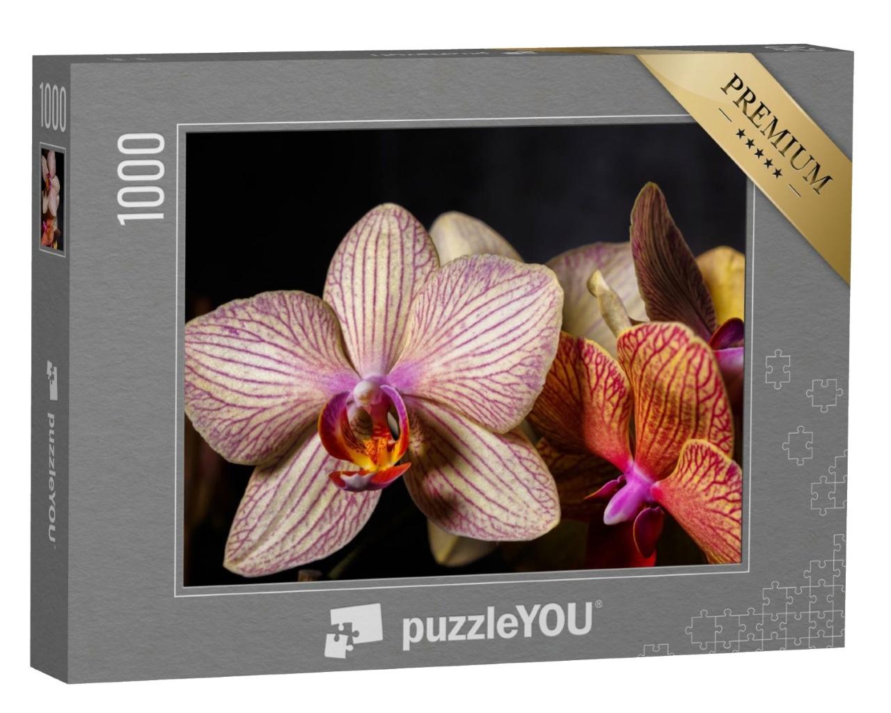 Puzzle de 1000 pièces « Magnifique fleur d'orchidée jaune et rose en gros plan »