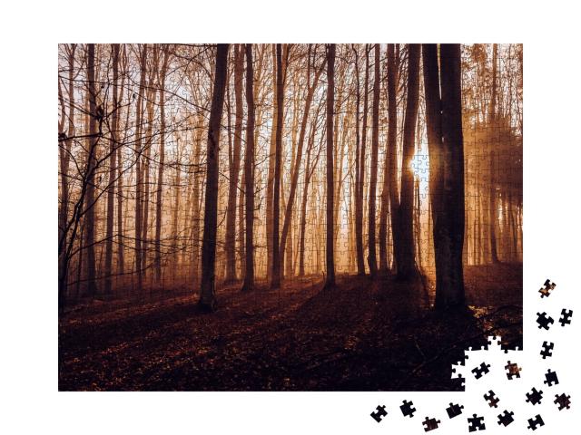 Puzzle de 1000 pièces « Forêt d'automne mystique avec des rayons de soleil entre les arbres »