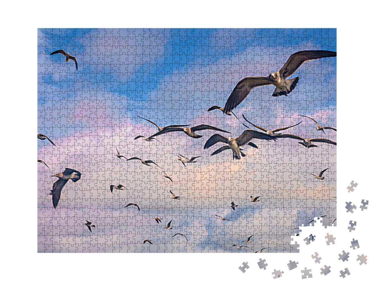 Puzzle de 1000 pièces « Banc de mouettes en vol dans le ciel »