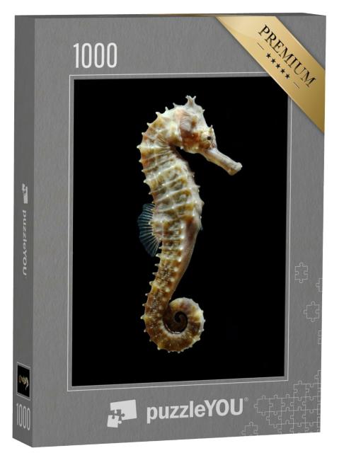 Puzzle de 1000 pièces « Un hippocampe en gros plan »
