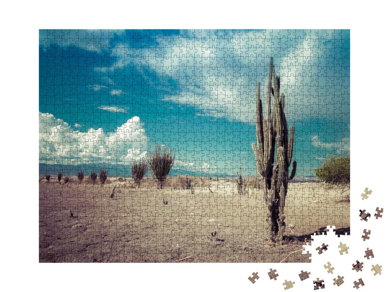 Puzzle de 1000 pièces « Le vaste désert de Tatacoa en Colombie »