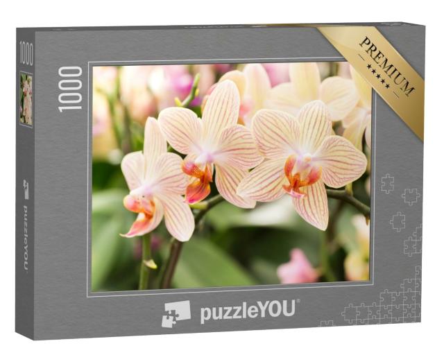 Puzzle de 1000 pièces « Des fleurs d'orchidées rayées dans toute leur splendeur »
