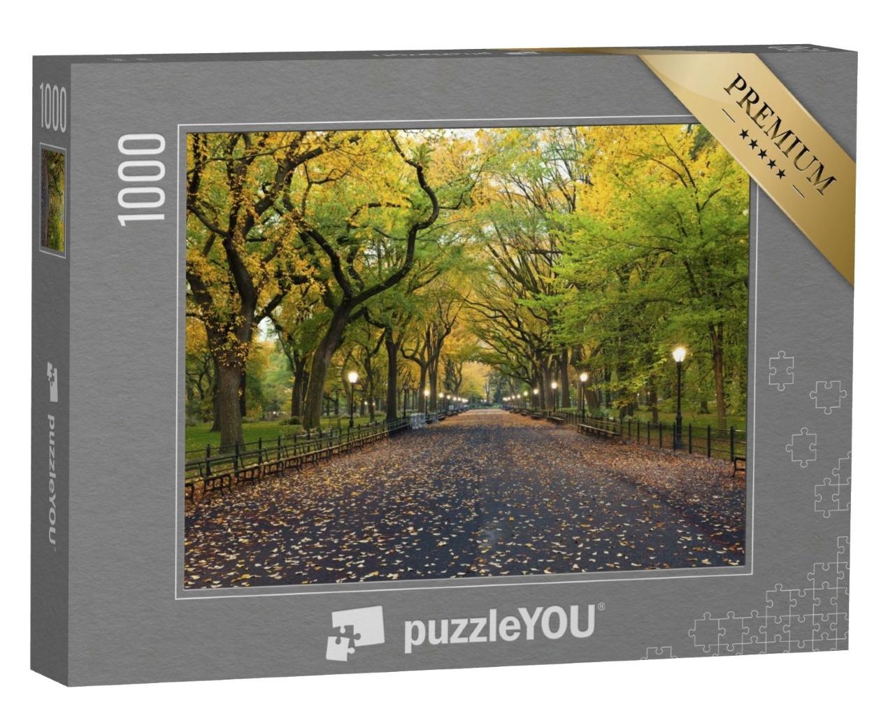 Puzzle de 1000 pièces « Zone The Mall à Central Park, New York City »