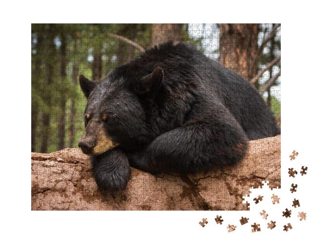 Puzzle de 1000 pièces « Un ours sur un tronc d'arbre »