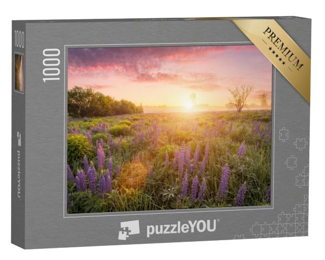 Puzzle de 1000 pièces « Rayons de soleil au-dessus d'une prairie de lupins en fleurs »