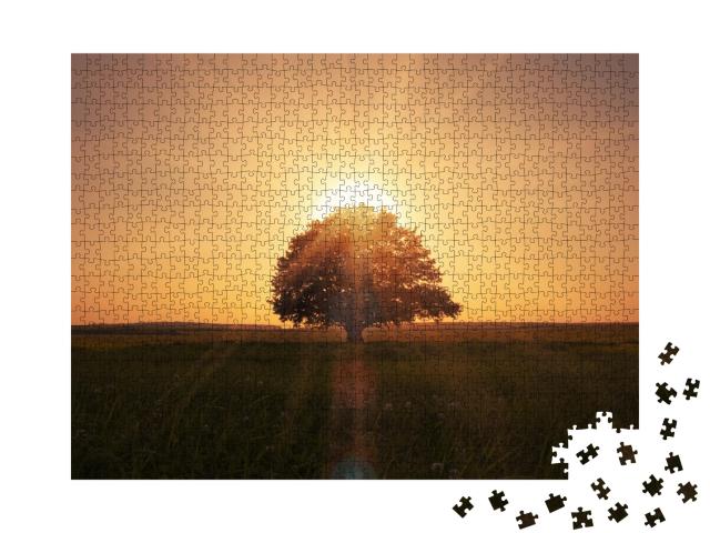 Puzzle de 1000 pièces « Lever de soleil avec un arbre »