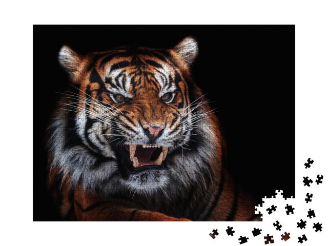 Puzzle de 1000 pièces « Tigre de Sumatra, bel animal, portrait »