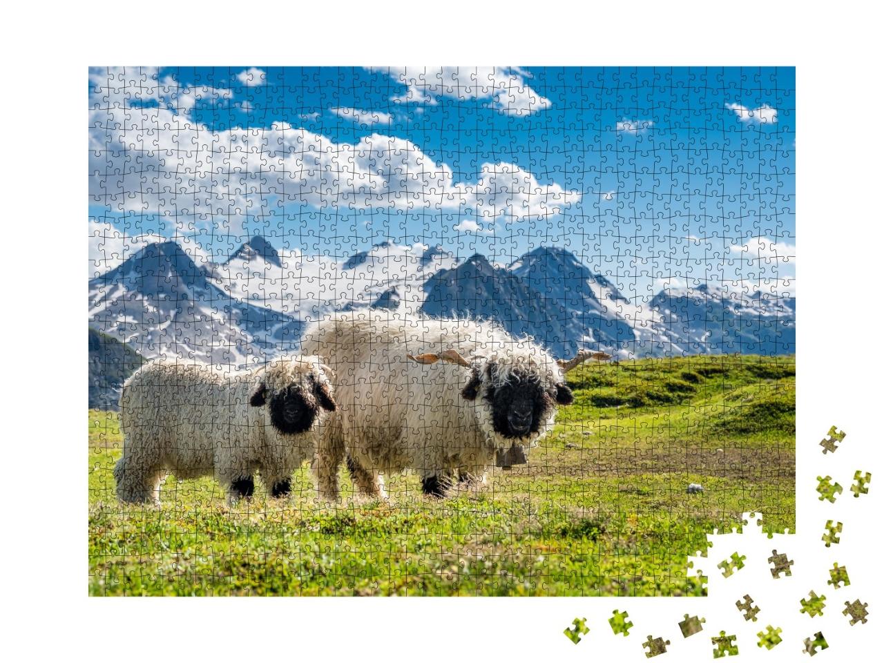 Puzzle de 1000 pièces « Moutons à nez noir du Valais au col du Nufenen en Valais »