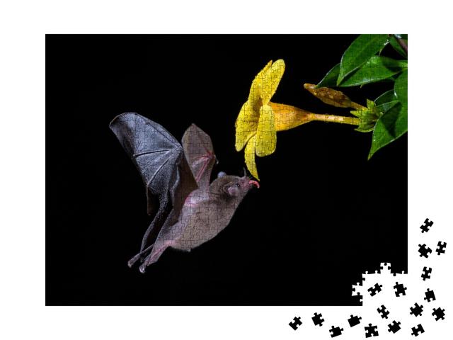 Puzzle de 1000 pièces « Chauve-souris à longue queue de Pallas se nourrissant de nectar de fleurs »