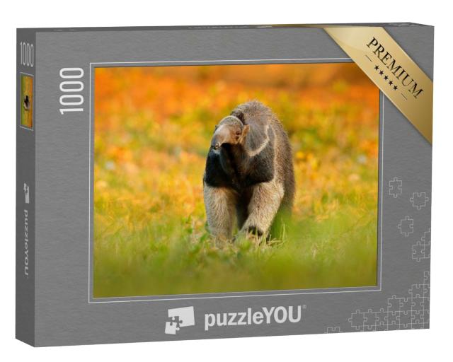 Puzzle de 1000 pièces « Le fourmilier, un animal du Brésil »