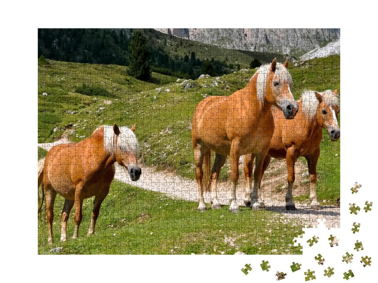 Puzzle de 1000 pièces « Trois chevaux Haflinger sur un alpage dans le Tyrol du Sud, Italie »