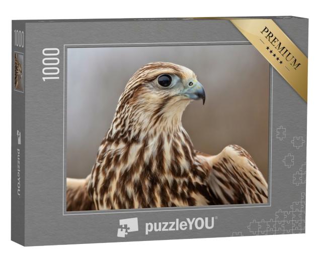 Puzzle de 1000 pièces « Majestueux faucon-saker »
