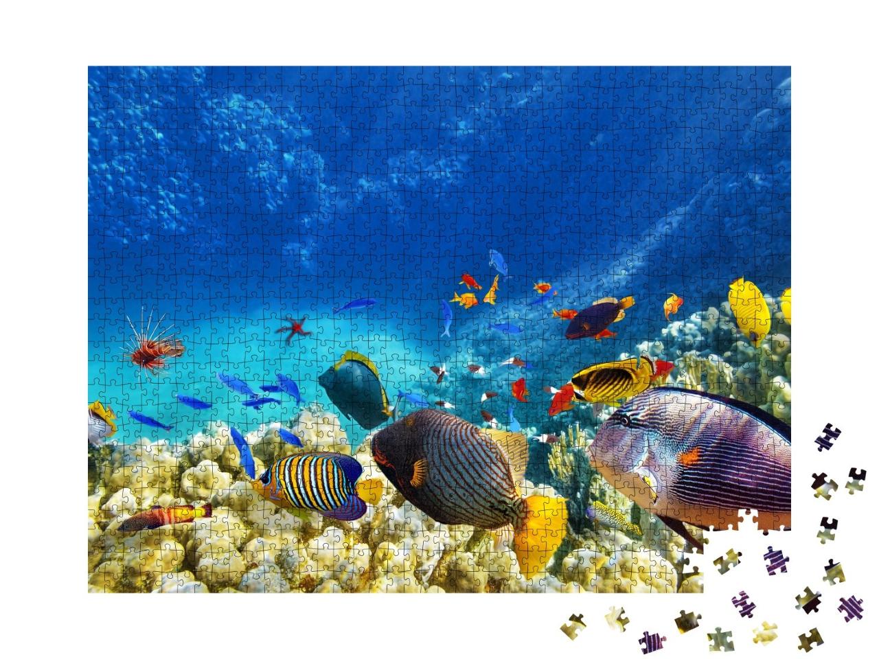 Puzzle de 1000 pièces « Monde sous-marin avec coraux et poissons tropicaux »