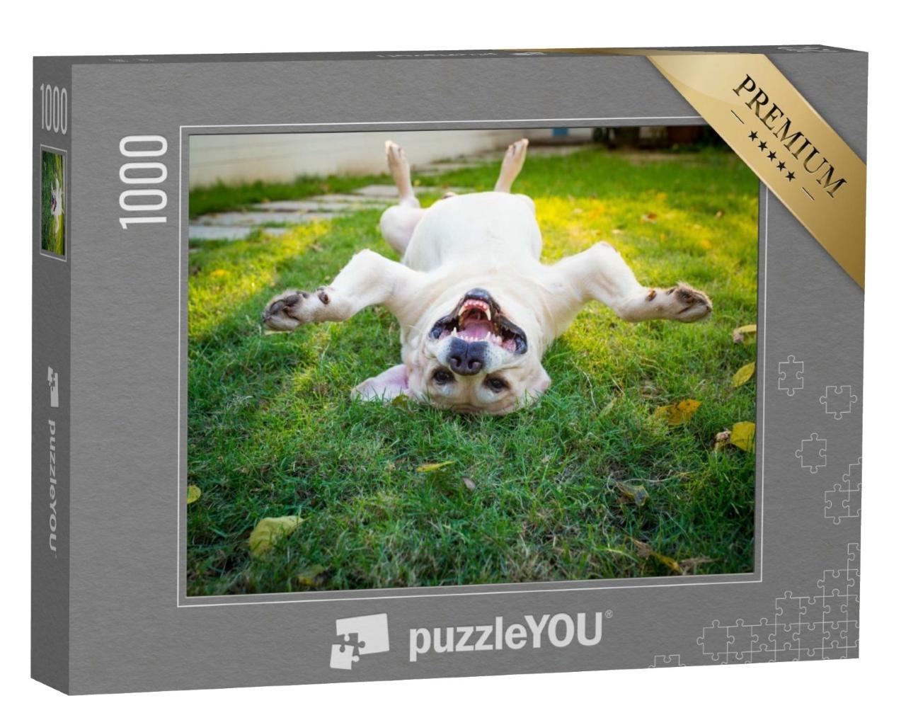 Puzzle de 1000 pièces « Labrador Retriever tête en bas sur le dos »
