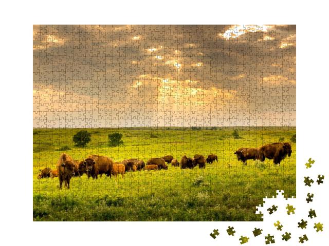 Puzzle de 1000 pièces « Un troupeau de bisons parcourt le Kansas »