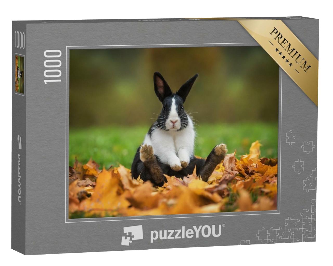 Puzzle de 1000 pièces « Petit lapin rigolo assis dans les feuilles d'automne »