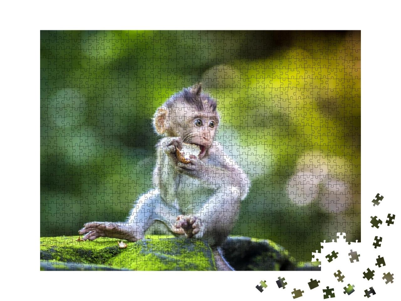Puzzle de 1000 pièces « Petit bébé singe dans la forêt de singes d'Ubud, Bali, Indonésie »