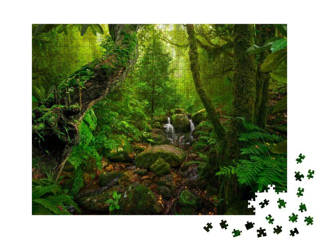 Puzzle de 1000 pièces « Forêt tropicale asiatique »