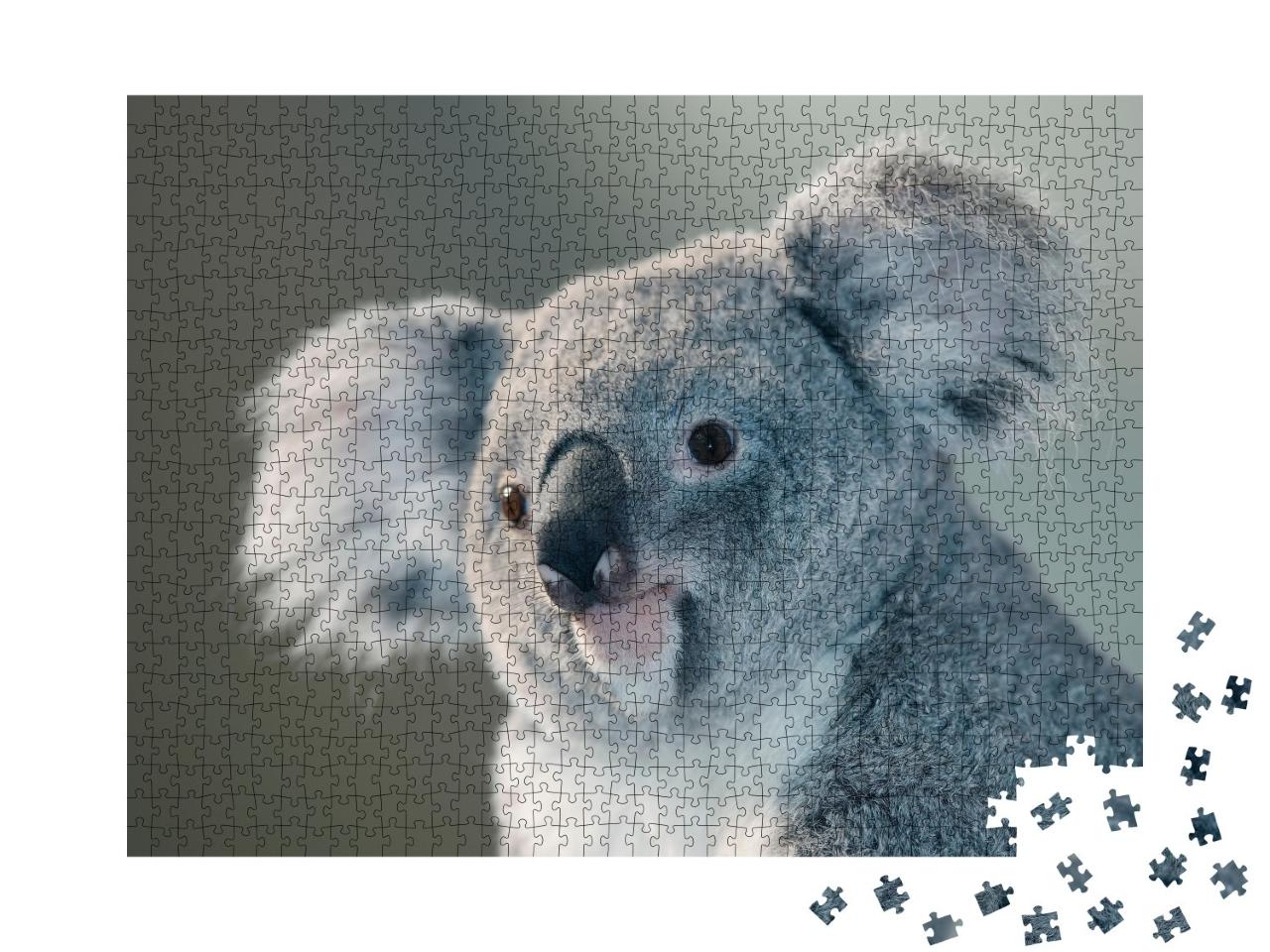 Puzzle de 1000 pièces « Portrait d'un koala »
