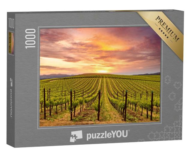Puzzle de 1000 pièces « Coucher de soleil sur les vignobles de la Napa Valley Wine Country »