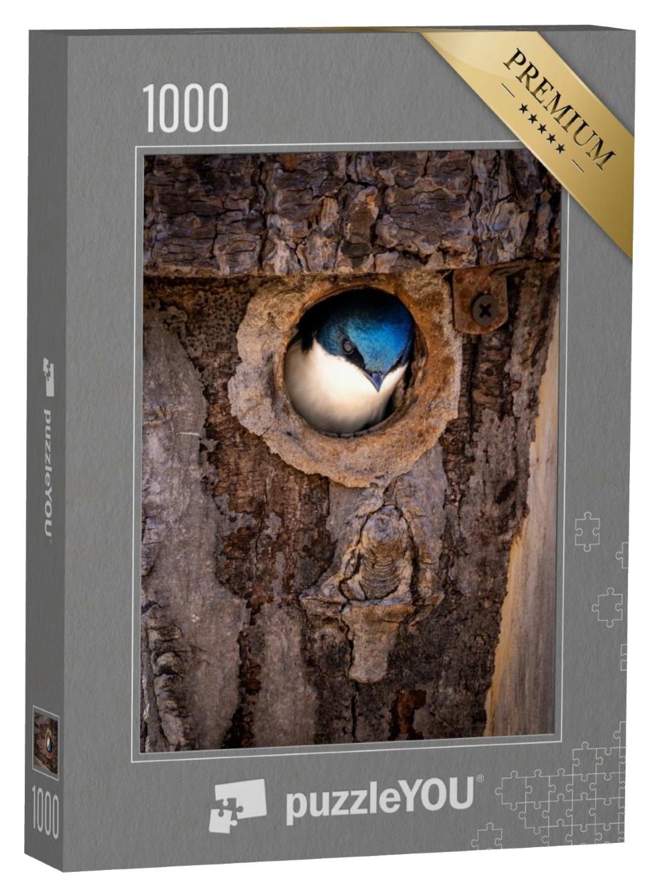 Puzzle de 1000 pièces « Une hirondelle rustique s'aventure hors de son nid dans un tronc d'arbre »