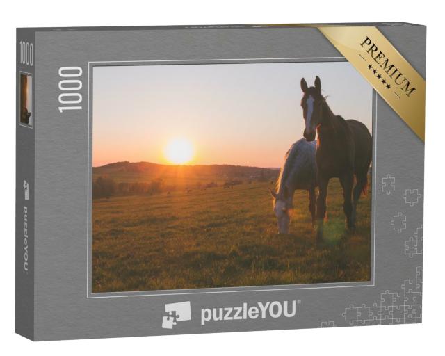 Puzzle de 1000 pièces « Deux chevaux au coucher du soleil »