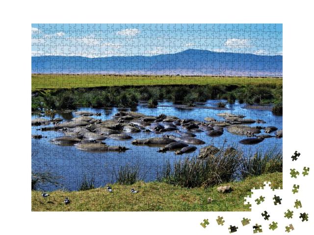 Puzzle de 1000 pièces « Bassin des hippopotames, cratère du Ngorongoro, Tanzanie »