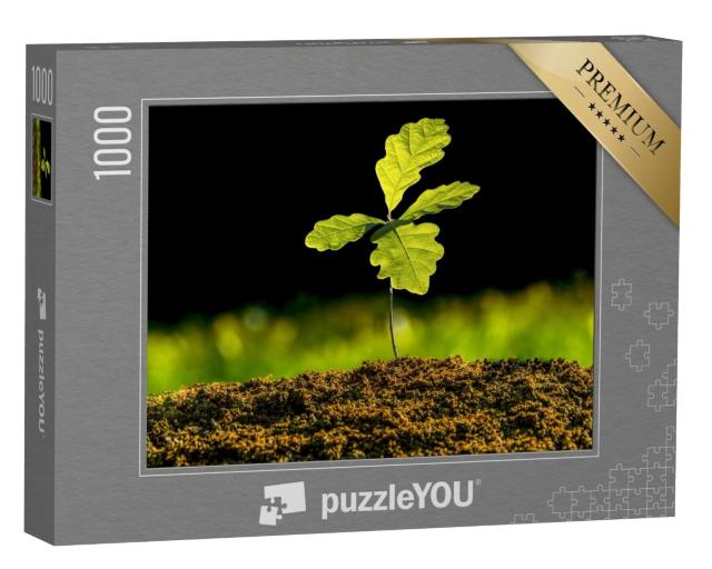 Puzzle de 1000 pièces « Une petite plante de chêne pousse dans le jardin »