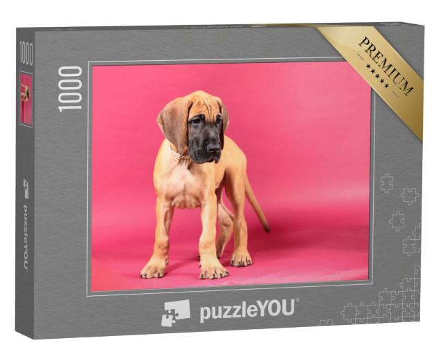 Puzzle de 1000 pièces « Dogue allemand fauve »