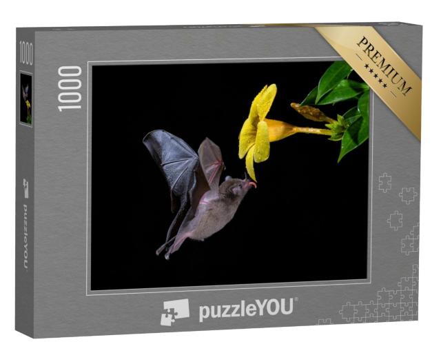 Puzzle de 1000 pièces « Chauve-souris à longue queue de Pallas se nourrissant de nectar de fleurs »