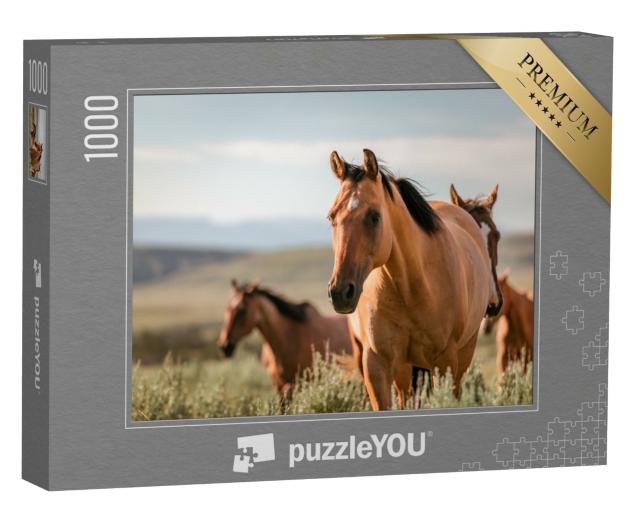 Puzzle de 1000 pièces « Chevaux de ranch américains de Quarter Horse dans le Wyoming, USA »