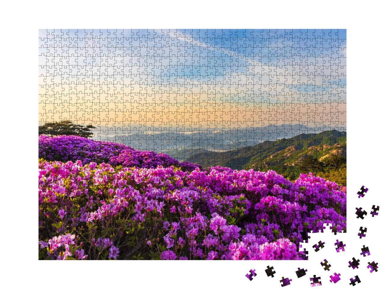 Puzzle de 1000 pièces « Fleur d'azalée rose sur le mont Hwangmaesan »