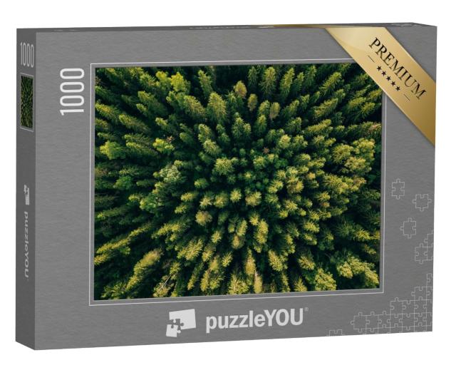 Puzzle de 1000 pièces « Vue aérienne d'une forêt de conifères »