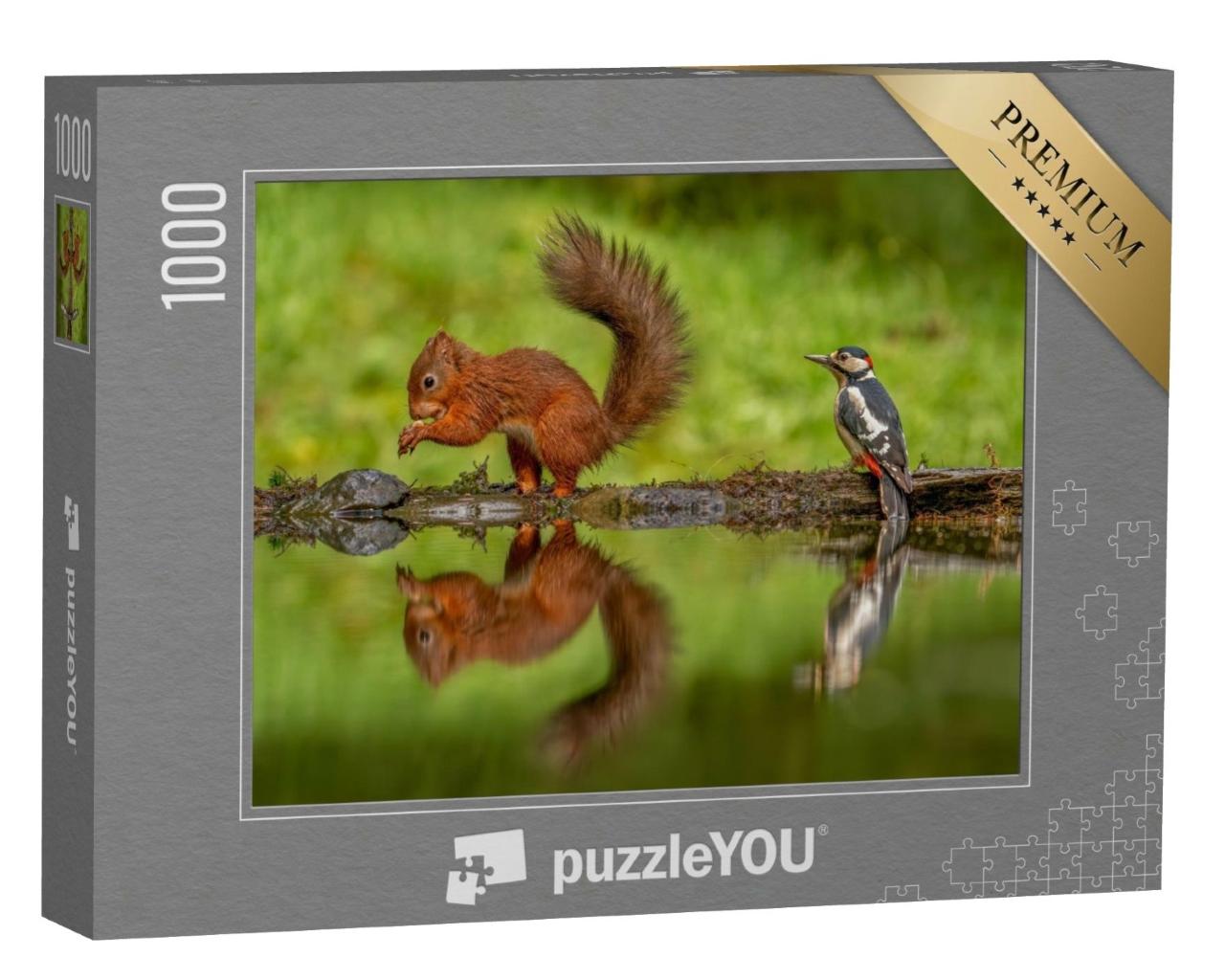 Puzzle de 1000 pièces « Écureuil rouge et un pic épeiche »