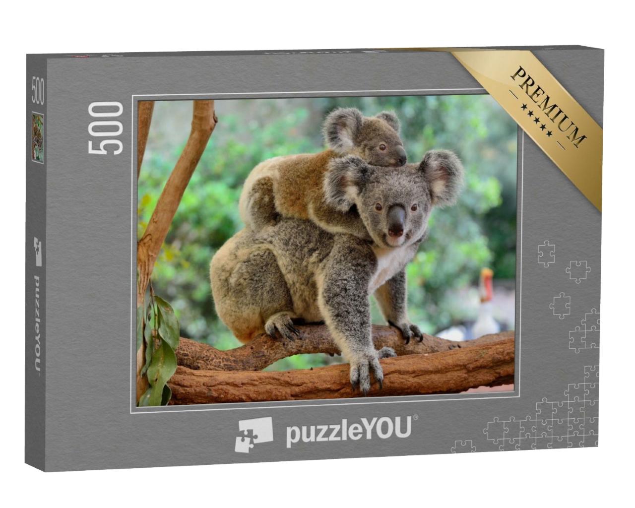 Puzzle de 500 pièces « Mère koala avec bébé sur le dos sur un eucalyptus »