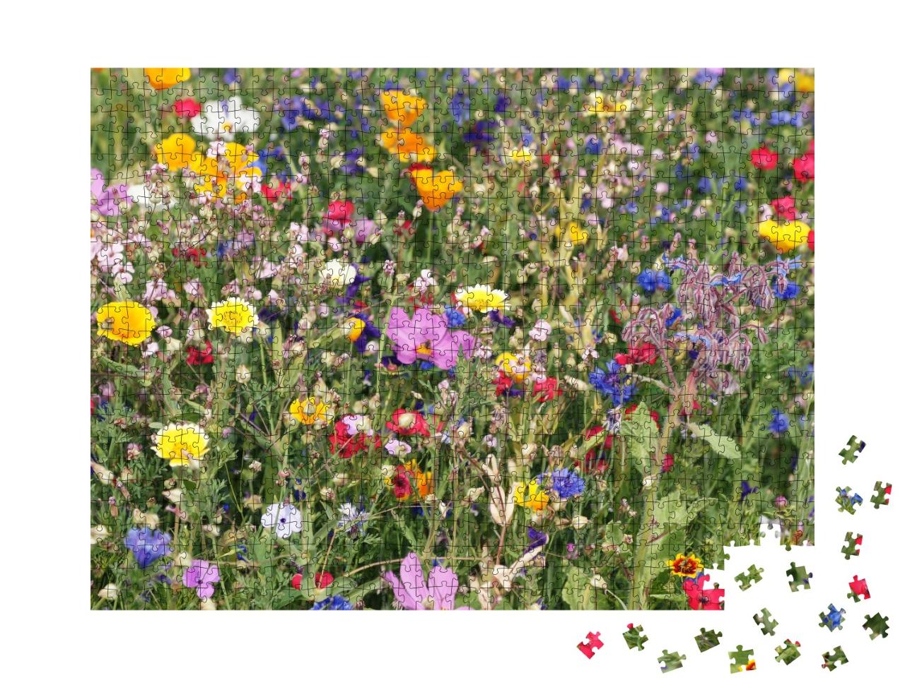 Puzzle de 1000 pièces « Une prairie multicolore avec des fleurs sauvages »